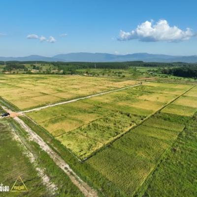 Agricultural project